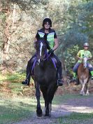 Image 52 in FINN VALLEY RC. RENDLESHAM FOREST PLEASURE RIDE. 15 OCT 2017