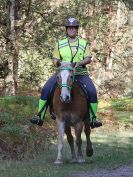 Image 54 in FINN VALLEY RC. RENDLESHAM FOREST PLEASURE RIDE. 15 OCT 2017