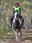 Image 60 in FINN VALLEY RC. RENDLESHAM FOREST PLEASURE RIDE. 15 OCT 2017