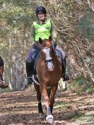 Image 61 in FINN VALLEY RC. RENDLESHAM FOREST PLEASURE RIDE. 15 OCT 2017