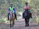 Image 74 in FINN VALLEY RC. RENDLESHAM FOREST PLEASURE RIDE. 15 OCT 2017