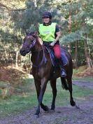 Image 83 in FINN VALLEY RC. RENDLESHAM FOREST PLEASURE RIDE. 15 OCT 2017