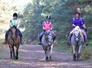 Image 87 in FINN VALLEY RC. RENDLESHAM FOREST PLEASURE RIDE. 15 OCT 2017