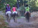 Image 89 in FINN VALLEY RC. RENDLESHAM FOREST PLEASURE RIDE. 15 OCT 2017