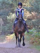 Image 90 in FINN VALLEY RC. RENDLESHAM FOREST PLEASURE RIDE. 15 OCT 2017