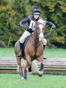 Image 100 in BECCLES AND BUNGAY RC. HUNTER TRIAL. 22 OCT. 2017
