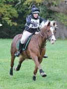 Image 102 in BECCLES AND BUNGAY RC. HUNTER TRIAL. 22 OCT. 2017
