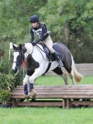 Image 104 in BECCLES AND BUNGAY RC. HUNTER TRIAL. 22 OCT. 2017