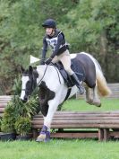 Image 105 in BECCLES AND BUNGAY RC. HUNTER TRIAL. 22 OCT. 2017