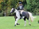 Image 107 in BECCLES AND BUNGAY RC. HUNTER TRIAL. 22 OCT. 2017