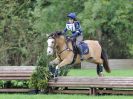 Image 108 in BECCLES AND BUNGAY RC. HUNTER TRIAL. 22 OCT. 2017