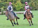 Image 11 in BECCLES AND BUNGAY RC. HUNTER TRIAL. 22 OCT. 2017