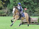 Image 110 in BECCLES AND BUNGAY RC. HUNTER TRIAL. 22 OCT. 2017