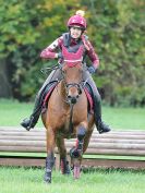 Image 113 in BECCLES AND BUNGAY RC. HUNTER TRIAL. 22 OCT. 2017
