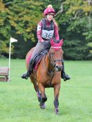 Image 115 in BECCLES AND BUNGAY RC. HUNTER TRIAL. 22 OCT. 2017