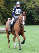 Image 120 in BECCLES AND BUNGAY RC. HUNTER TRIAL. 22 OCT. 2017