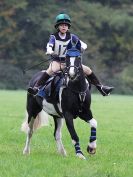Image 124 in BECCLES AND BUNGAY RC. HUNTER TRIAL. 22 OCT. 2017