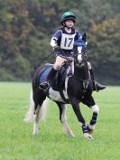 Image 125 in BECCLES AND BUNGAY RC. HUNTER TRIAL. 22 OCT. 2017
