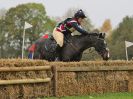 Image 128 in BECCLES AND BUNGAY RC. HUNTER TRIAL. 22 OCT. 2017