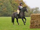 Image 129 in BECCLES AND BUNGAY RC. HUNTER TRIAL. 22 OCT. 2017