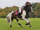 Image 143 in BECCLES AND BUNGAY RC. HUNTER TRIAL. 22 OCT. 2017