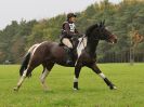 Image 148 in BECCLES AND BUNGAY RC. HUNTER TRIAL. 22 OCT. 2017