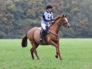 Image 149 in BECCLES AND BUNGAY RC. HUNTER TRIAL. 22 OCT. 2017
