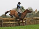 Image 151 in BECCLES AND BUNGAY RC. HUNTER TRIAL. 22 OCT. 2017