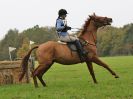 Image 152 in BECCLES AND BUNGAY RC. HUNTER TRIAL. 22 OCT. 2017