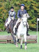 Image 30 in BECCLES AND BUNGAY RC. HUNTER TRIAL. 22 OCT. 2017