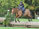 Image 36 in BECCLES AND BUNGAY RC. HUNTER TRIAL. 22 OCT. 2017