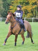 Image 39 in BECCLES AND BUNGAY RC. HUNTER TRIAL. 22 OCT. 2017
