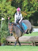 Image 40 in BECCLES AND BUNGAY RC. HUNTER TRIAL. 22 OCT. 2017