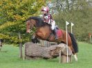 Image 45 in BECCLES AND BUNGAY RC. HUNTER TRIAL. 22 OCT. 2017
