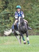 Image 48 in BECCLES AND BUNGAY RC. HUNTER TRIAL. 22 OCT. 2017