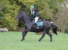 Image 54 in BECCLES AND BUNGAY RC. HUNTER TRIAL. 22 OCT. 2017