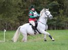 Image 55 in BECCLES AND BUNGAY RC. HUNTER TRIAL. 22 OCT. 2017