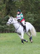 Image 56 in BECCLES AND BUNGAY RC. HUNTER TRIAL. 22 OCT. 2017