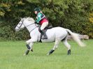 Image 61 in BECCLES AND BUNGAY RC. HUNTER TRIAL. 22 OCT. 2017
