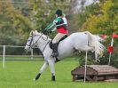 Image 65 in BECCLES AND BUNGAY RC. HUNTER TRIAL. 22 OCT. 2017