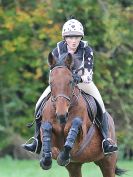 Image 66 in BECCLES AND BUNGAY RC. HUNTER TRIAL. 22 OCT. 2017