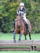 Image 67 in BECCLES AND BUNGAY RC. HUNTER TRIAL. 22 OCT. 2017