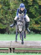 Image 72 in BECCLES AND BUNGAY RC. HUNTER TRIAL. 22 OCT. 2017