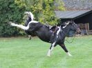 Image 86 in BECCLES AND BUNGAY RC. HUNTER TRIAL. 22 OCT. 2017