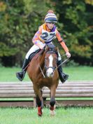 Image 92 in BECCLES AND BUNGAY RC. HUNTER TRIAL. 22 OCT. 2017