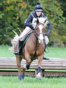 Image 99 in BECCLES AND BUNGAY RC. HUNTER TRIAL. 22 OCT. 2017