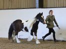Image 10 in BROADS EC. CHARITY SHOWING SHOW. 29 OCT. 2017