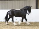 Image 98 in BROADS EC. CHARITY SHOWING SHOW. 29 OCT. 2017