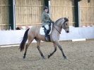 Image 105 in BBRC. DRESSAGE. 5 NOV. 2017
