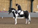 Image 132 in BBRC. DRESSAGE. 5 NOV. 2017